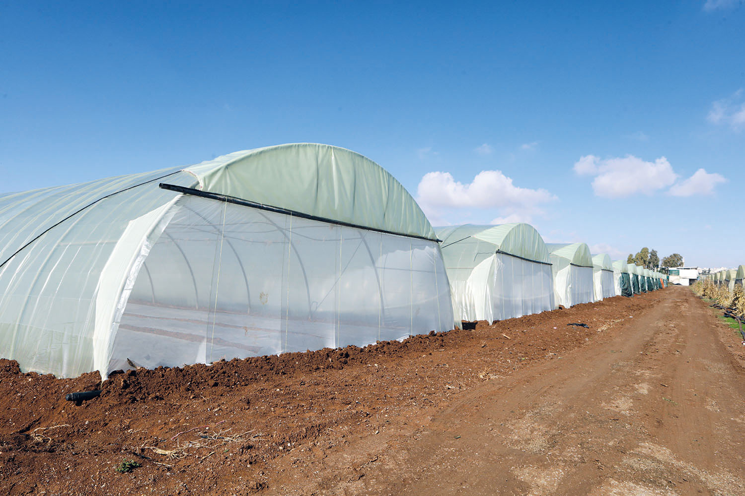 alallaf_high_quality_primary_materials_parts_agriculture_jordan_polyethylene_pellets_plastic_6