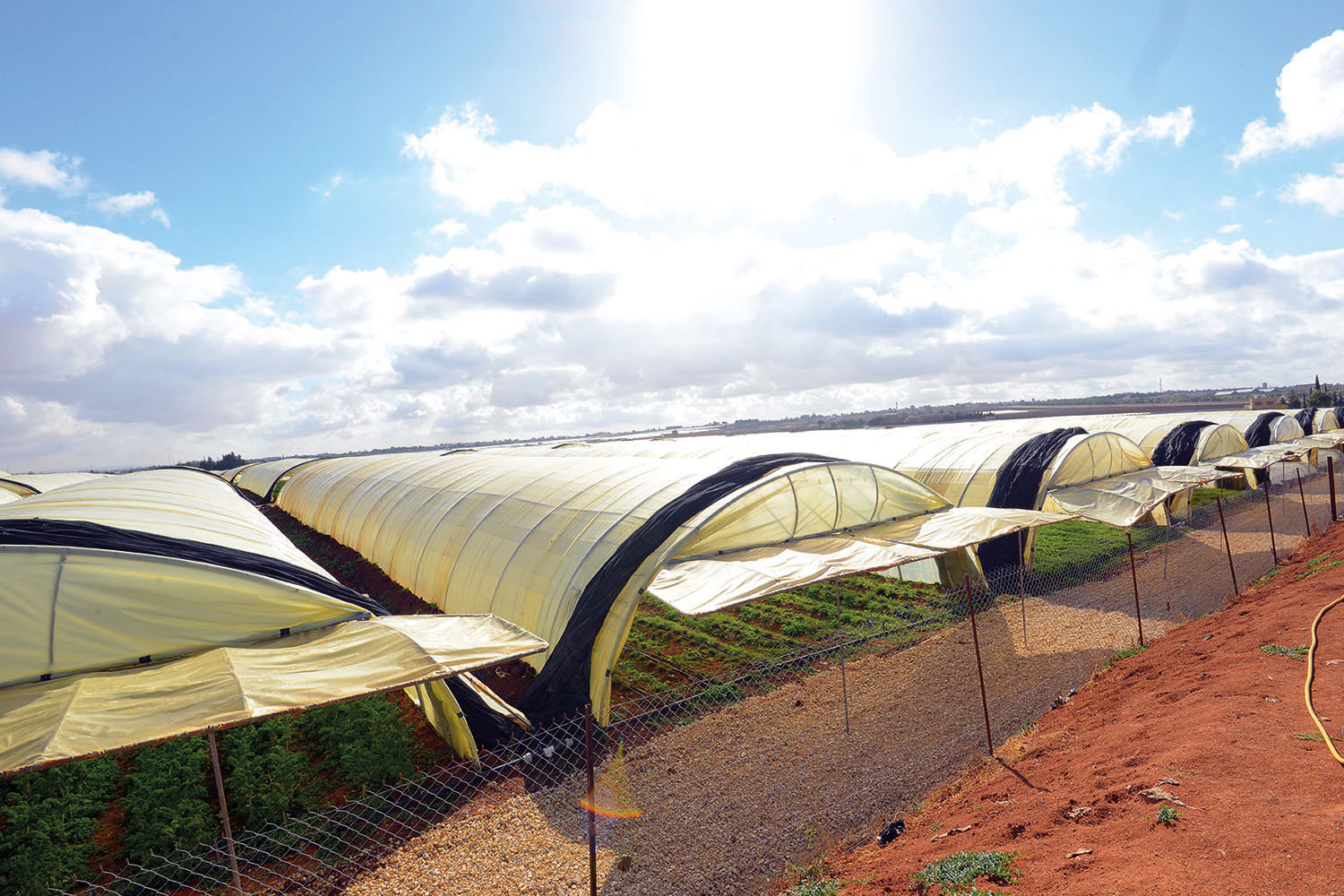 alallaf_high_quality_primary_materials_parts_agriculture_jordan_polyethylene_pellets_plastic_3