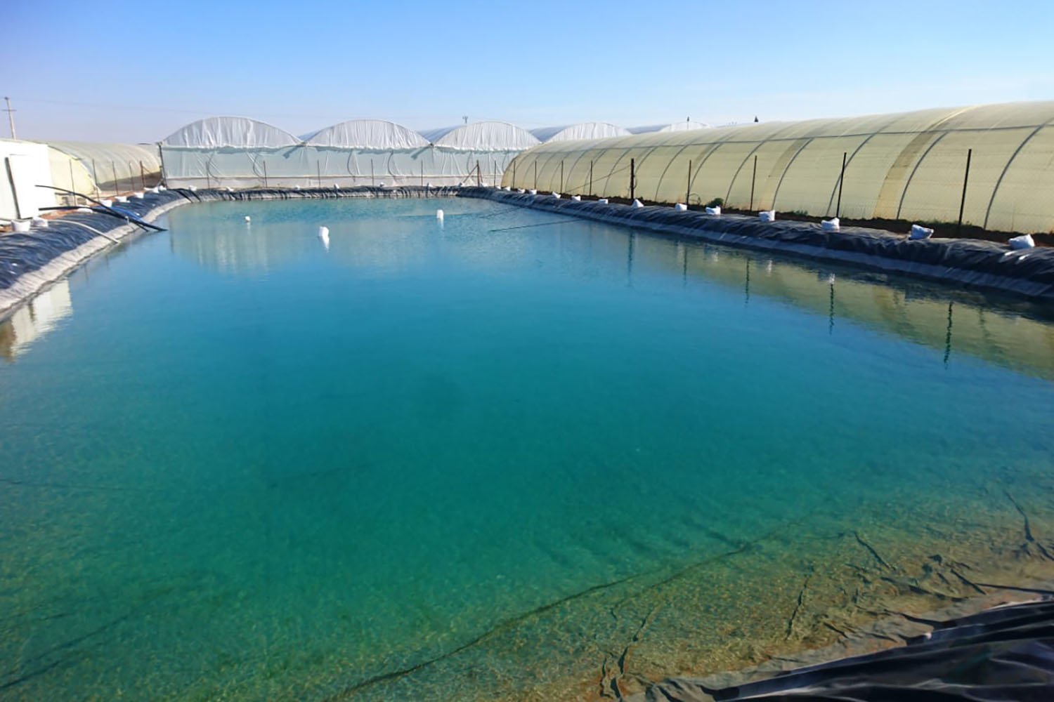 alallaf_water_reservoir_jordan_primary_materials_agriculture_jordan_polyethylene_plastic_3